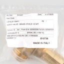 Safety valve E10/LS 60 bar  1/2" NPT G.1"