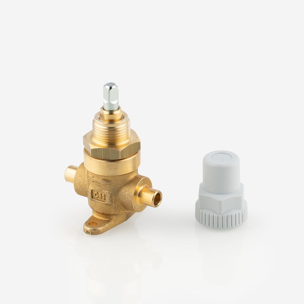 Capped valve ODS 1/4" 6420/2