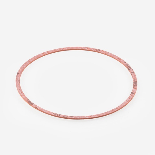 [D05421018] End plate gasket Carly CY 15555601